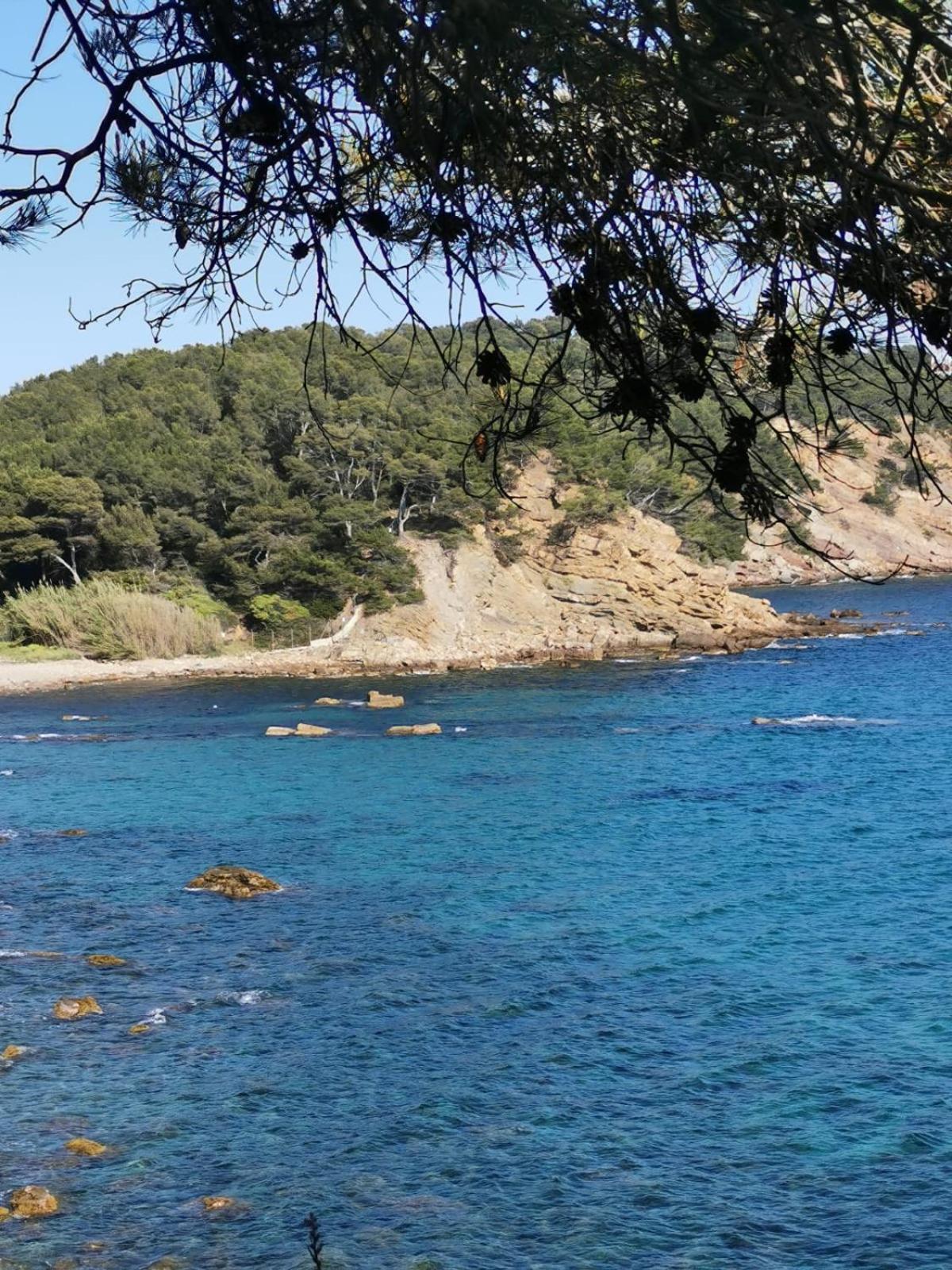 Petit Paradis - St Mandrier Village Saint-Mandrier-sur-Mer Exterior photo